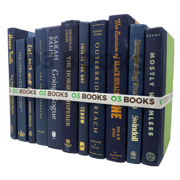 O3 Books Navy Blue Decorative Books Wayfair